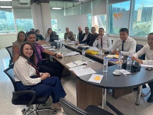 Professional training